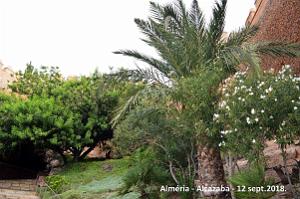 10 ALMERIA ALCAZABA 12 09 2018 (20)